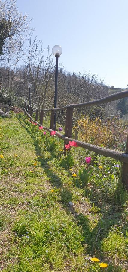 Villa Maria Mignanego المظهر الخارجي الصورة